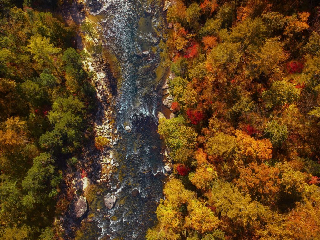 pexels-photo-1559708-1559708 Stunning aerial view of Chattooga River, Georgia, surrounded by vibrant autumn foliage.