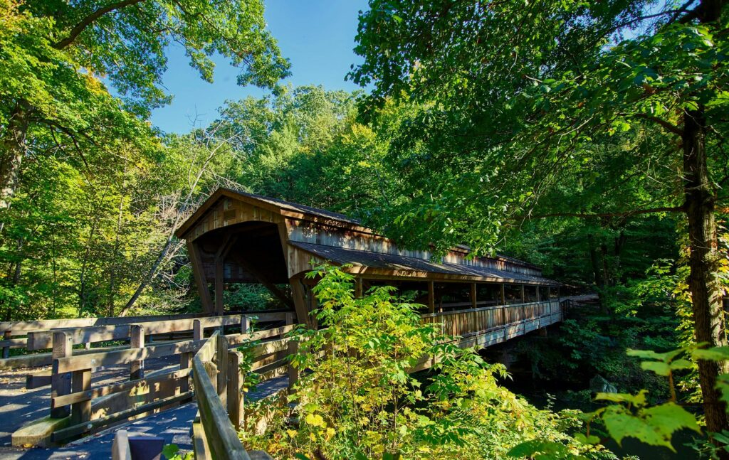Beautiful wooden covered bridge in a vibrant summer forest in Youngstown, Ohio, showcasing natural rustic charm.