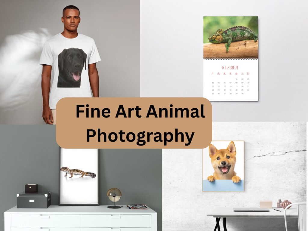 Print on Demand Products (1)